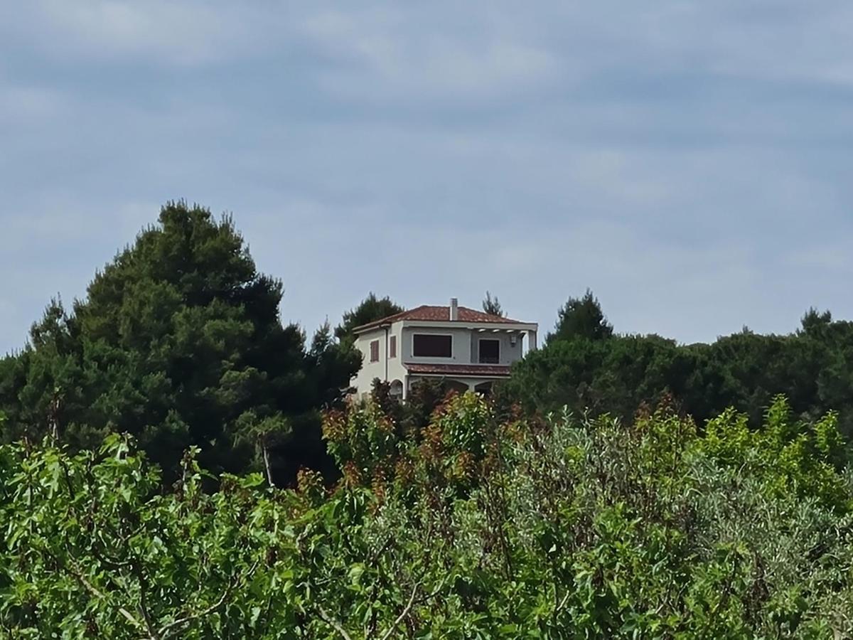 Alghero - House With Panoramic View Immersed In Full Nature Екстериор снимка